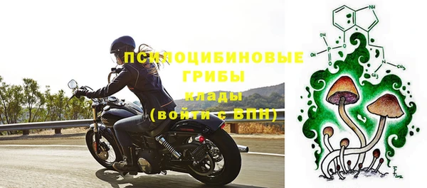 ешки Сосновоборск