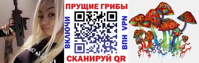 Псилоцибиновые грибы GOLDEN TEACHER  Мураши 