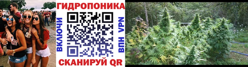 Конопля Bruce Banner дарнет шоп Мураши